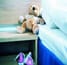 dfds_seaways_crown_seaways_cabin_tb