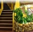 endeavor_lines_elli_t_stairwell_tb