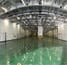 moby_lines_moby_freedom_parking_tb