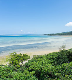 Iriomote Island